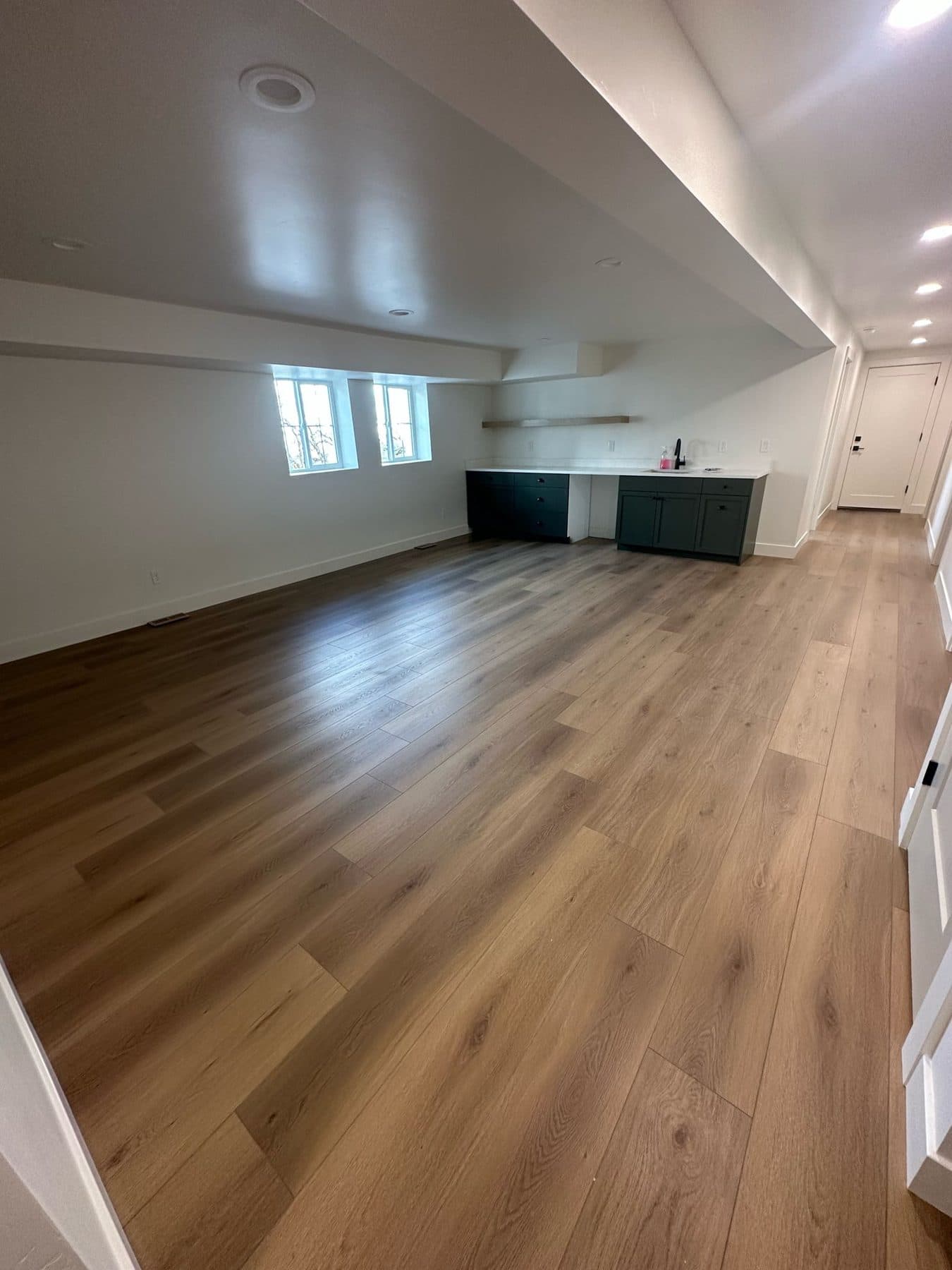 Basement Finishing